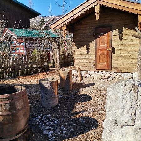 Campingplatz Torrenerhof Golling an der Salzach Extérieur photo